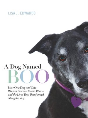 cover image of A Dog Named Boo